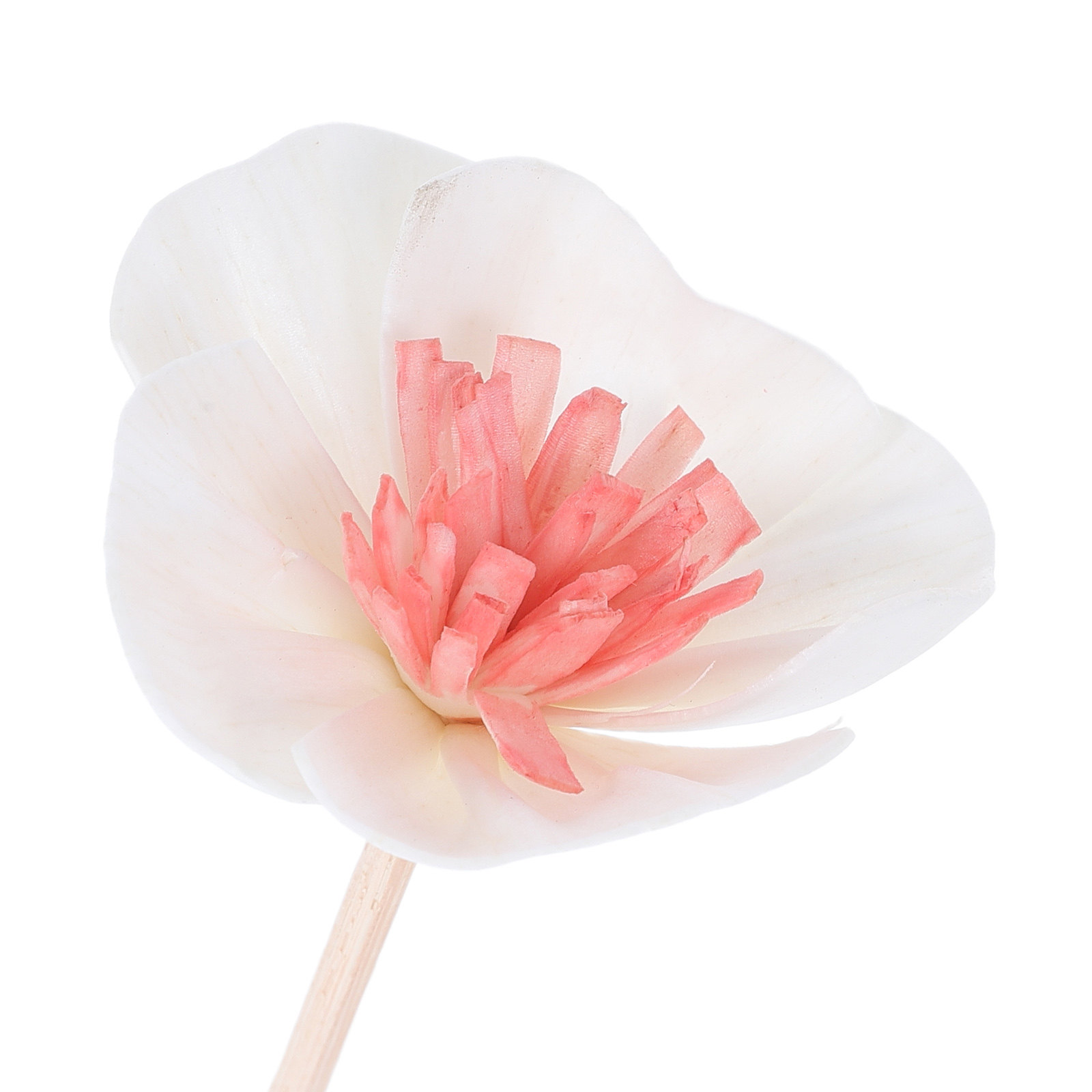 10 قطع من أعواد نشر الزيوت الع - مراجعة Home Fragrance Diffuser وسعره