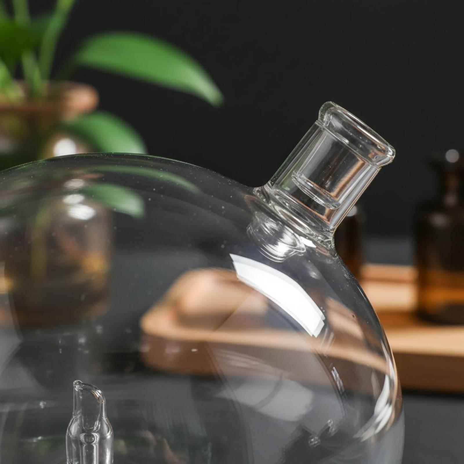 زجاجة ناشر عطر زجاجية بديلة عا - مراجعة Home Fragrance Diffuser وسعره